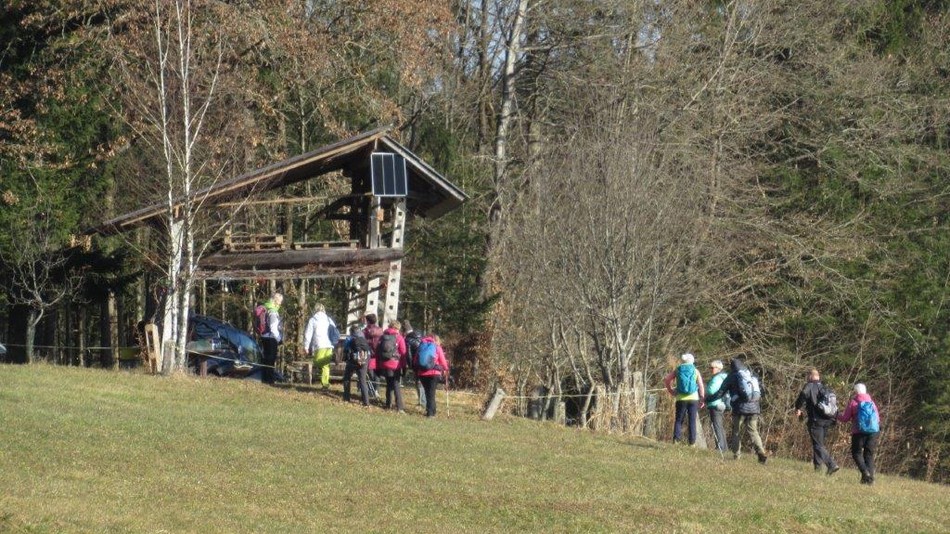 brezje_2023_21.jpg