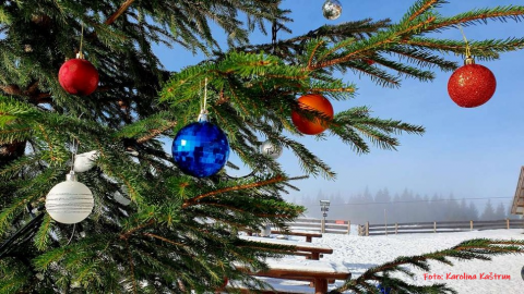 Voščilnica 2025, Foto Karolina Kaštrun