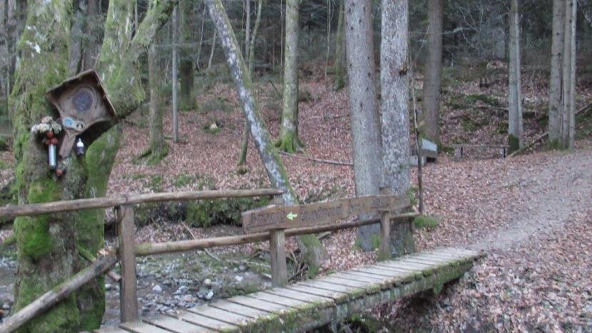 Brezje_3