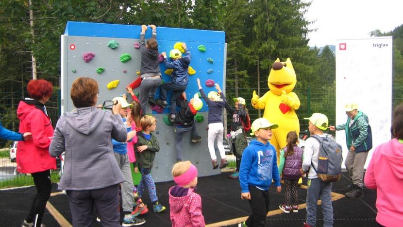 Golnik_Gozd_9