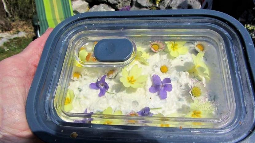 Piknik_1