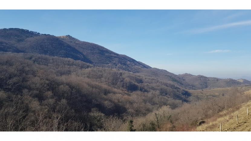 Primorska_1