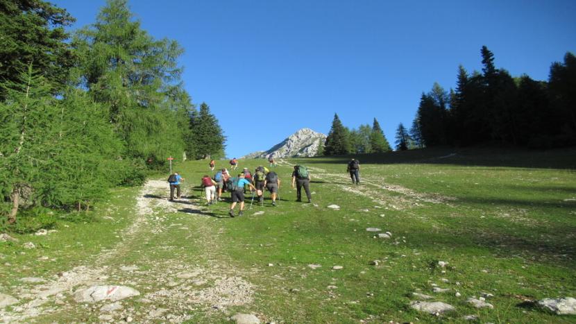 Vrtača 9.8.2025_03