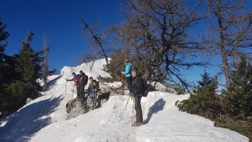 in kmalu prišli do gazi v snegu.