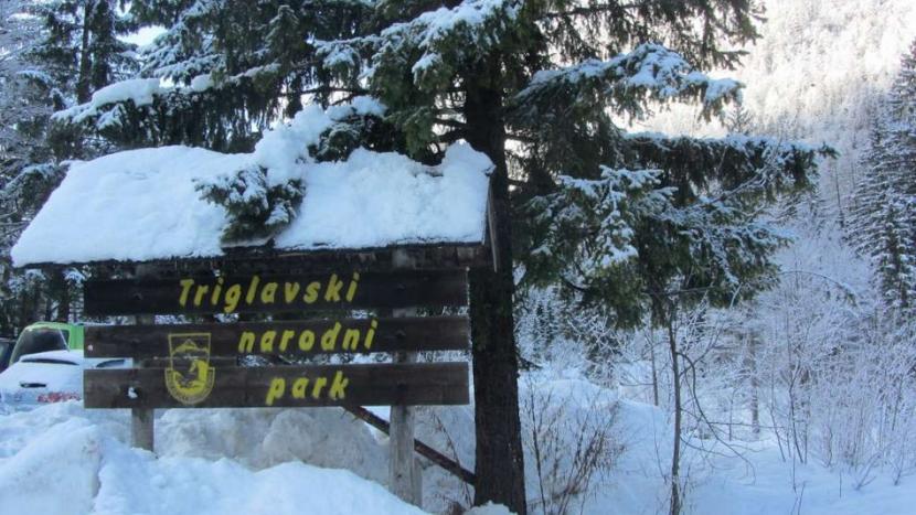 Namesto na Mrežce v Tamar
