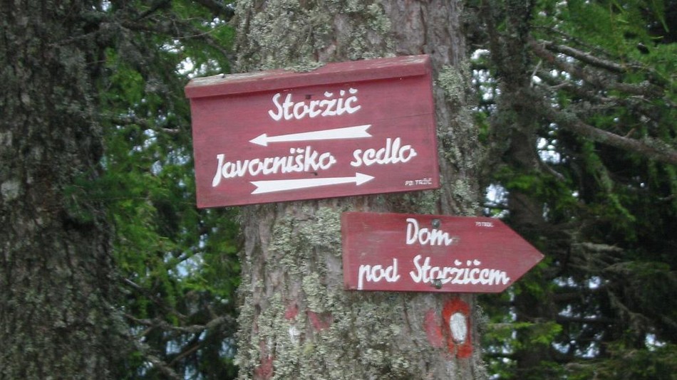 Planinski pohod do Doma pod Storžičem