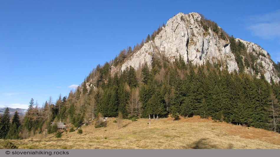 Veliki Rogatec