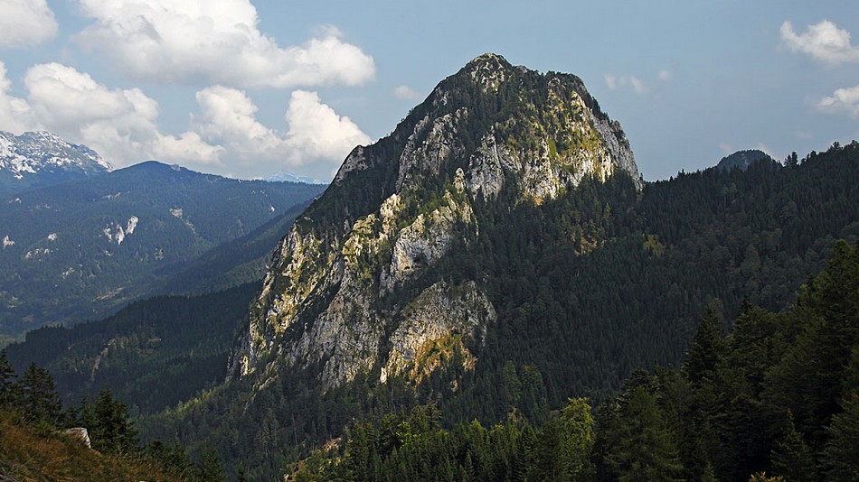Stegovnik
